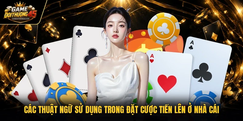 Các thuật ngữ sử dụng trong đặt cược tiến lên ở nhà cái
