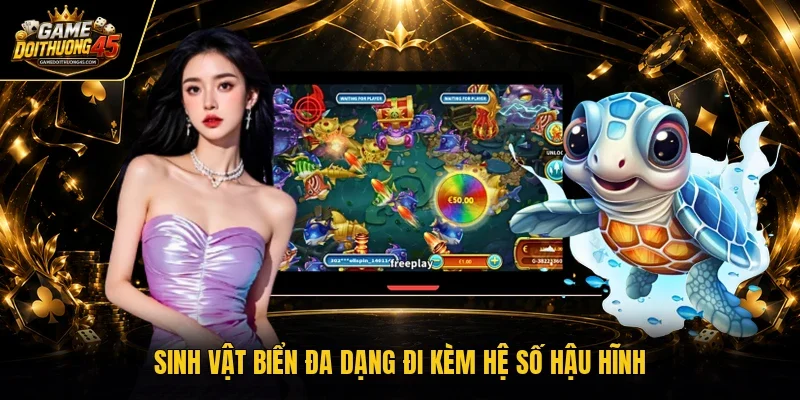Sinh vật biển đa dạng đi kèm hệ số hậu hĩnh