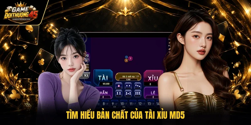 Tìm hiểu bản chất của tài xỉu MD5